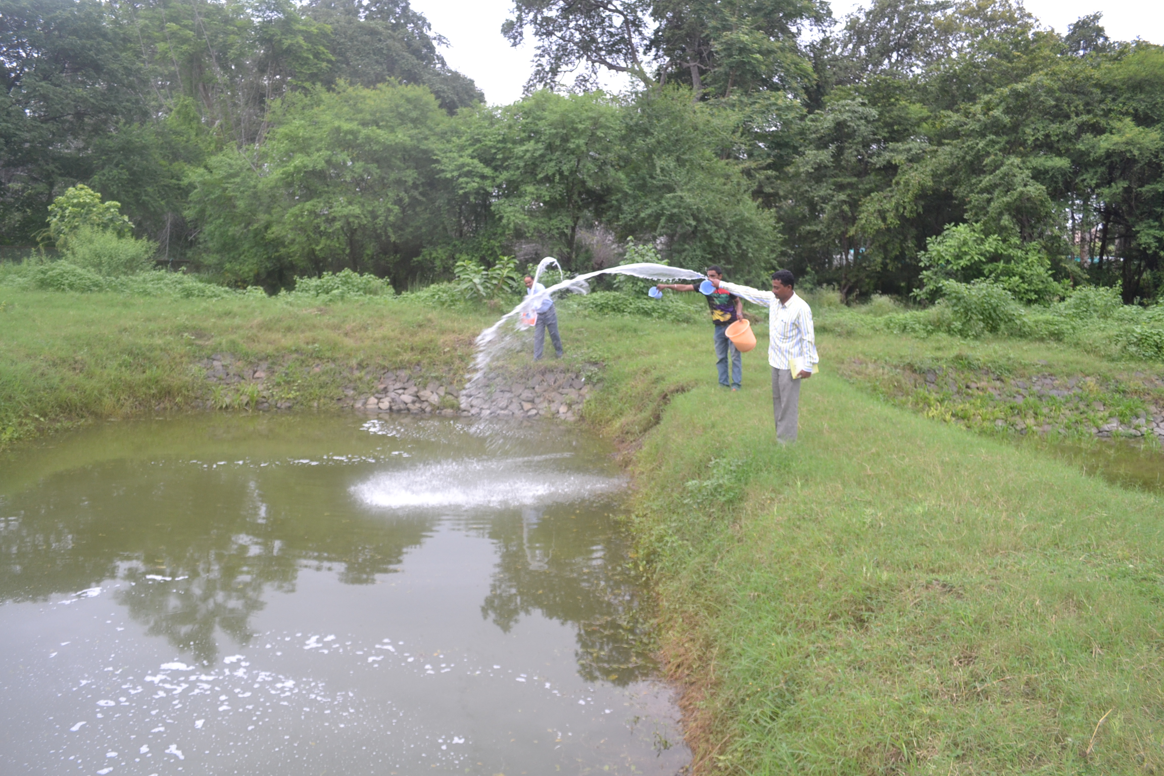 Aqua Farm Img 18